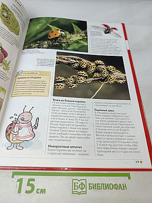 Наш мир от А до Я. Энциклопедия для детей. №6