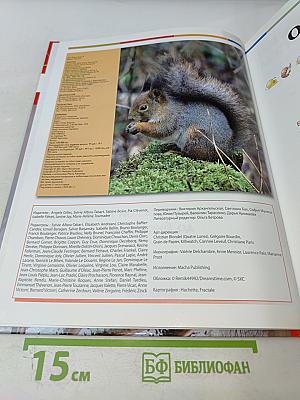 Наш мир от А до Я. Энциклопедия для детей. Том 5: От Байкало-Амурской магистрали до Биологии