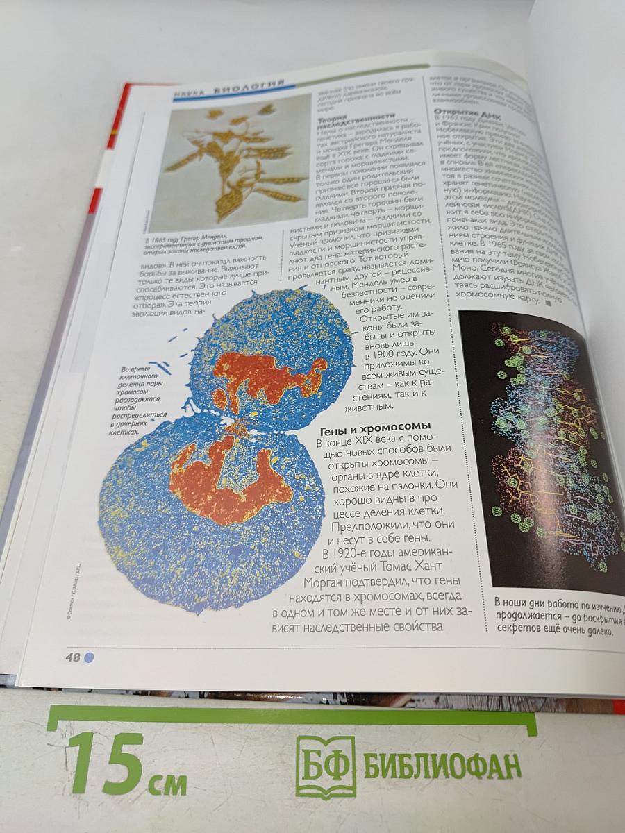 Наш мир от А до Я. Энциклопедия для детей. Том 5: От Байкало-Амурской магистрали до Биологии