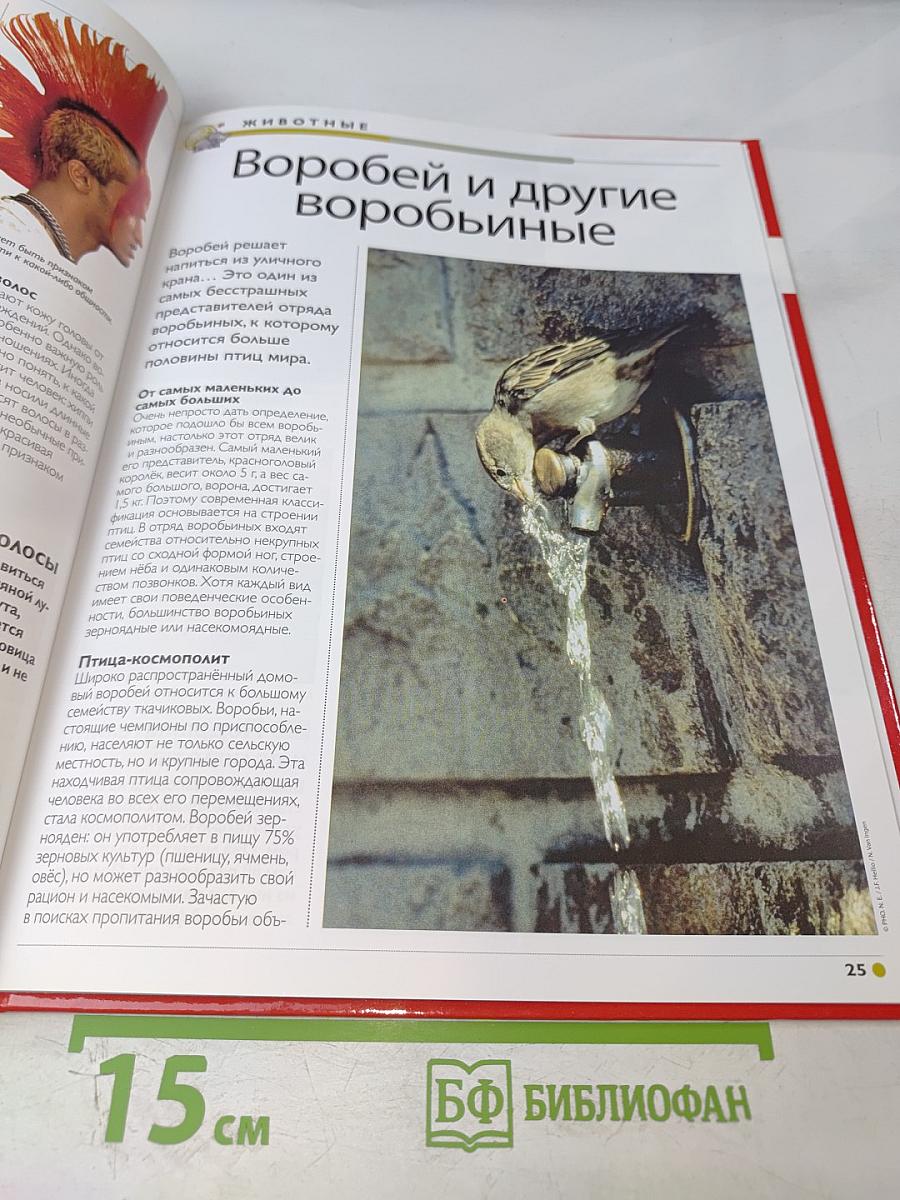 Наш мир от А до Я. Энциклопедия для детей №9. От войны Севера и Юга до Вселенной