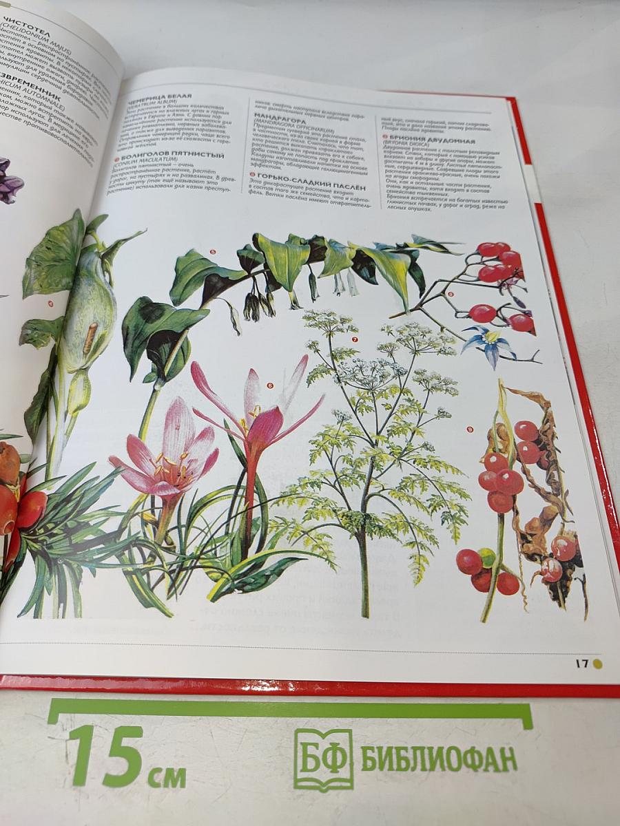 Наш мир от А до Я. Энциклопедия для детей № 68: От Юпитера до прогулочных яхт