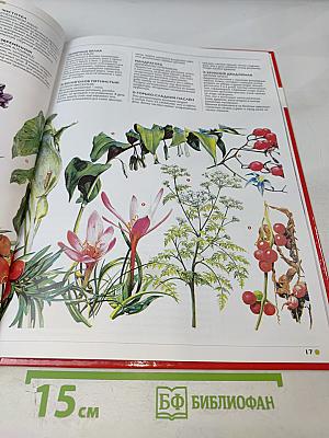 Наш мир от А до Я. Энциклопедия для детей № 68: От Юпитера до прогулочных яхт