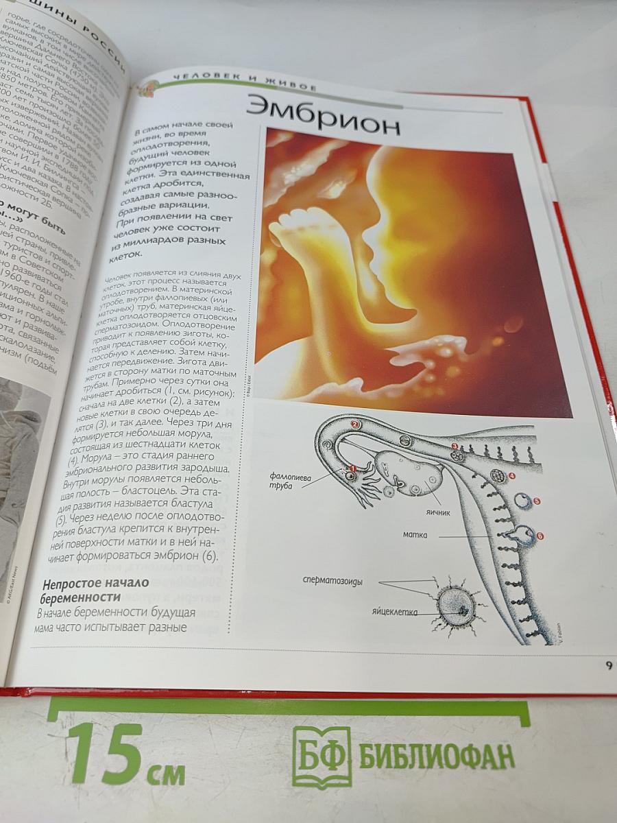 Наш мир от А до Я. Энциклопедия для детей. Том 67. От Эльбруса и других горных вершин России до ЮНЕСКО