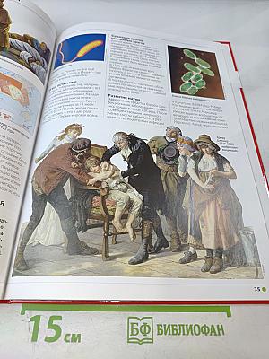 Наш мир от А до Я. Энциклопедия для детей. Том 67. От Эльбруса и других горных вершин России до ЮНЕСКО