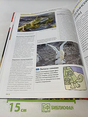 Наш мир от А до Я. Энциклопедия для детей № 46: От пустыни днём до ракет: «Протон» и космических челноков