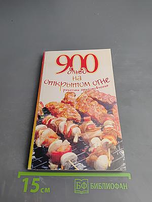 900 блюд на открытом огне. Рецепты приготовления