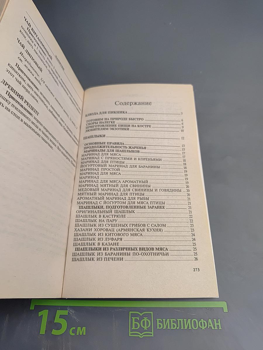 900 блюд на открытом огне. Рецепты приготовления