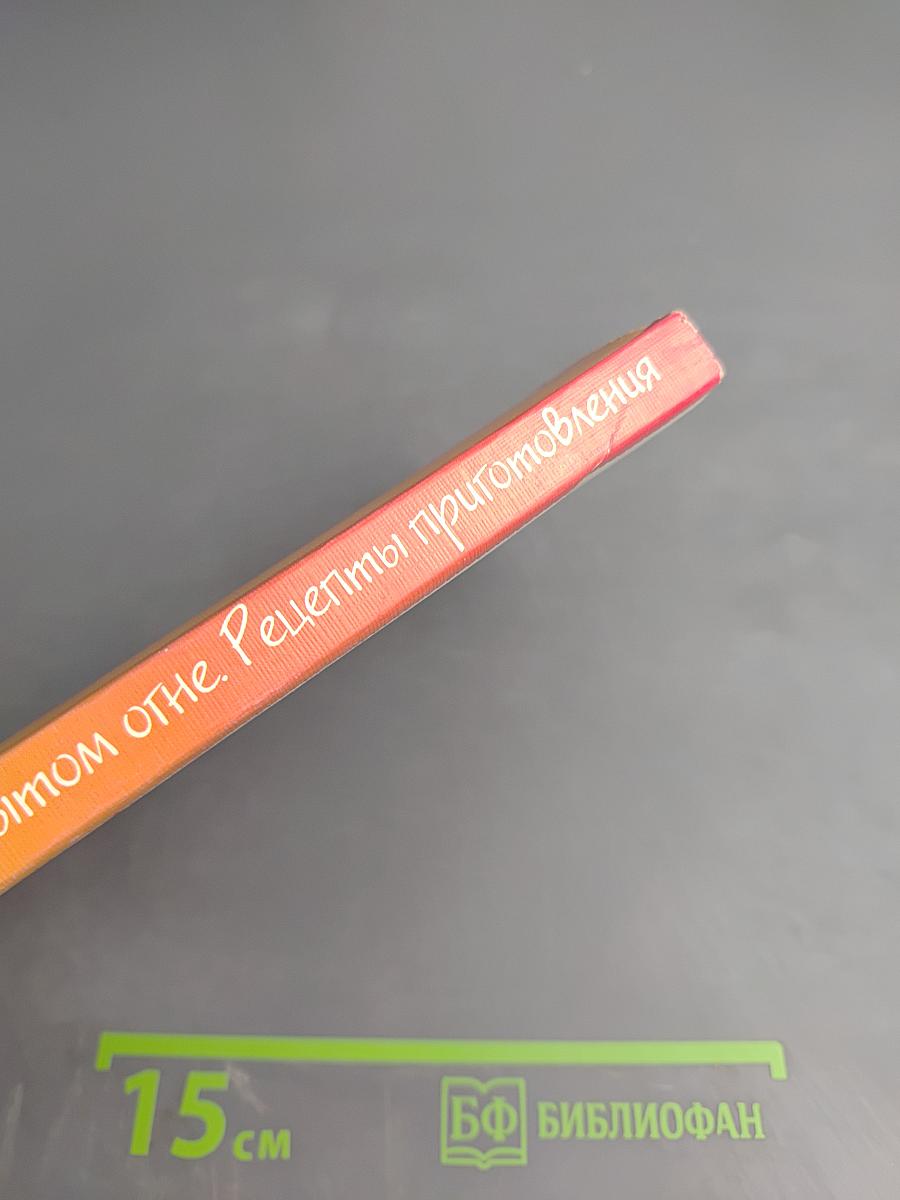 900 блюд на открытом огне. Рецепты приготовления