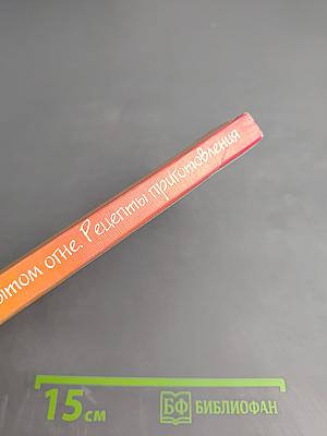 900 блюд на открытом огне. Рецепты приготовления