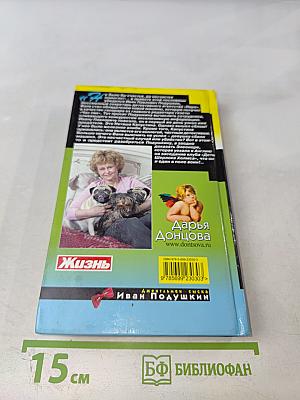 Ангел на метле