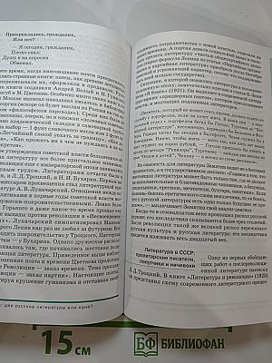 Русский язык и литература. Литература. Учебник для 11 класса. Часть 1