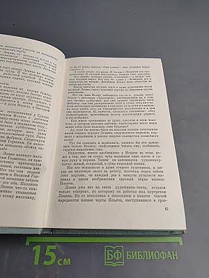 Строитель нового мира