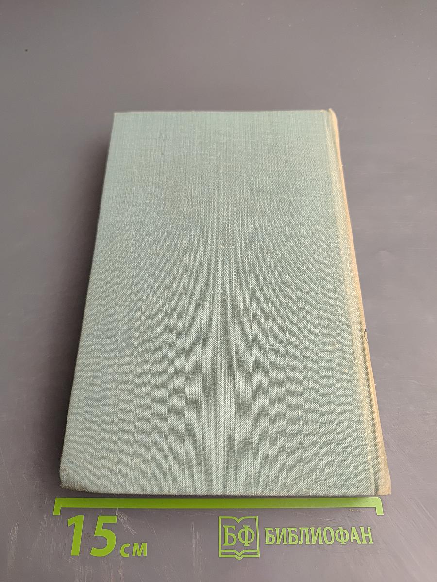 Строитель нового мира