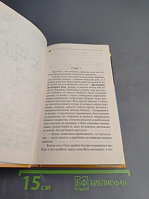 Билет на ковер-вертолет