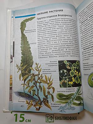 Биология. Многообразие живых организмов. 7 класс