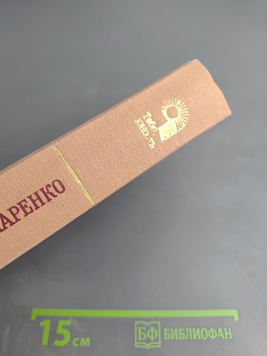 Педагогическая поэма