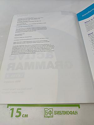 Active Grammar with answers Level 2