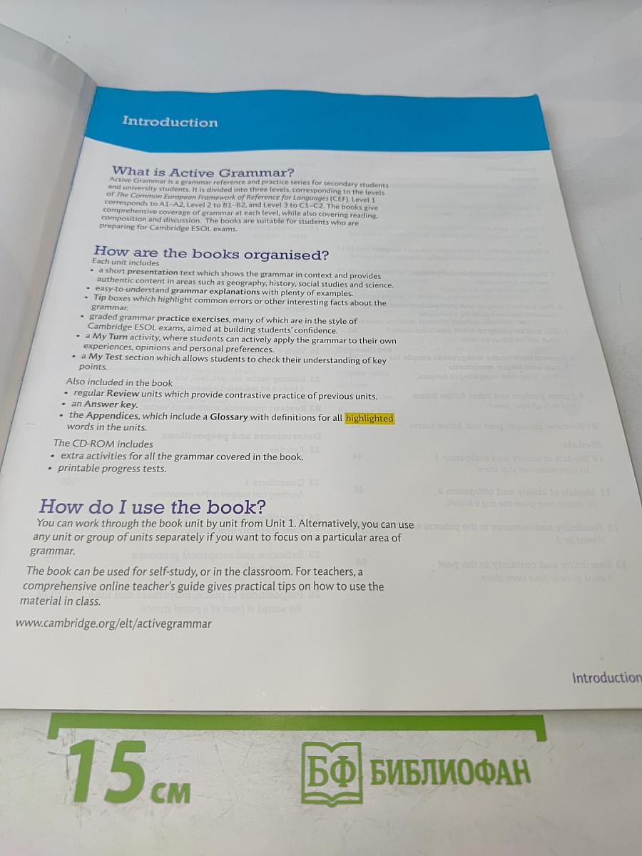 Active Grammar with answers Level 2