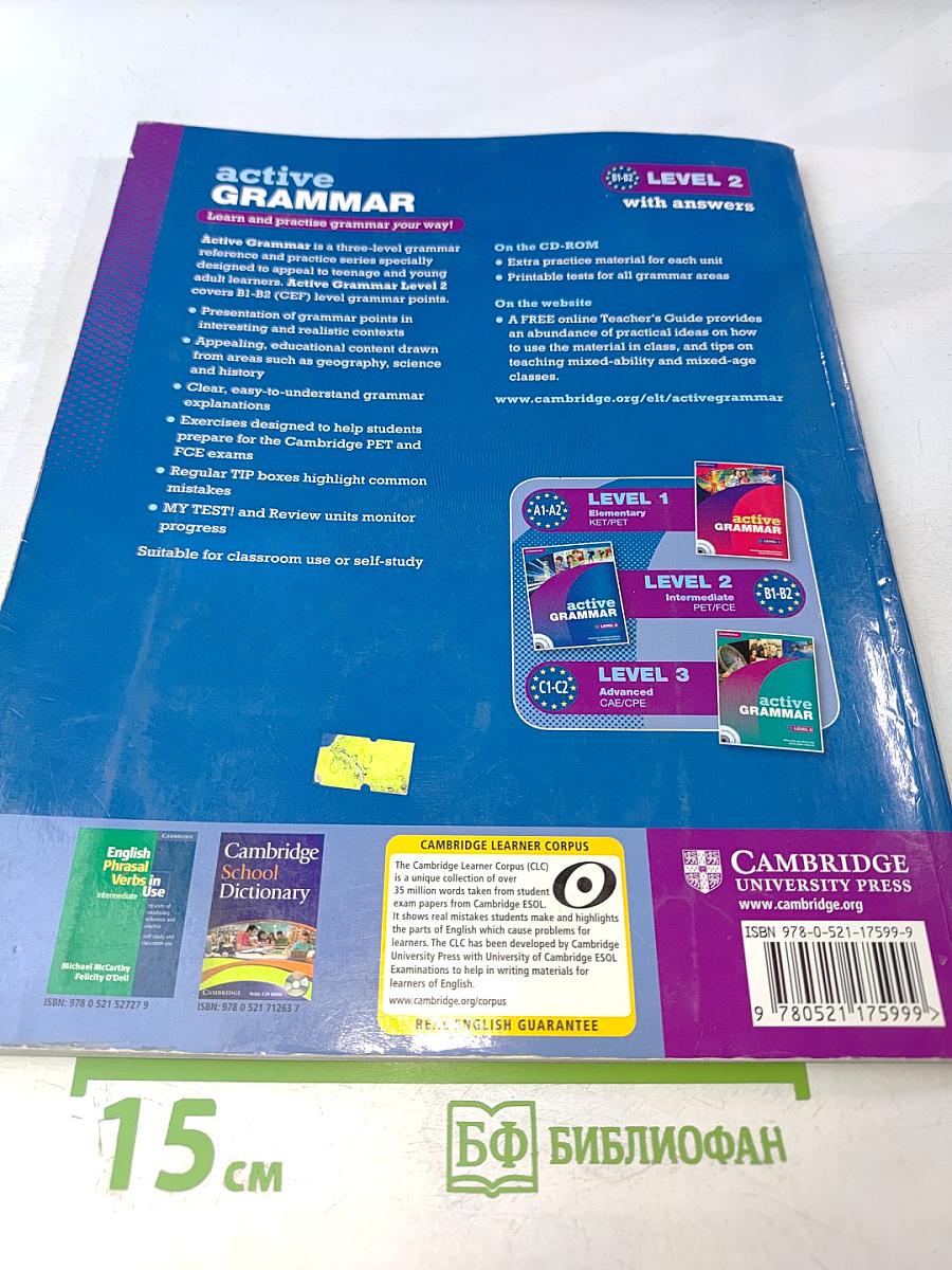 Active Grammar with answers Level 2