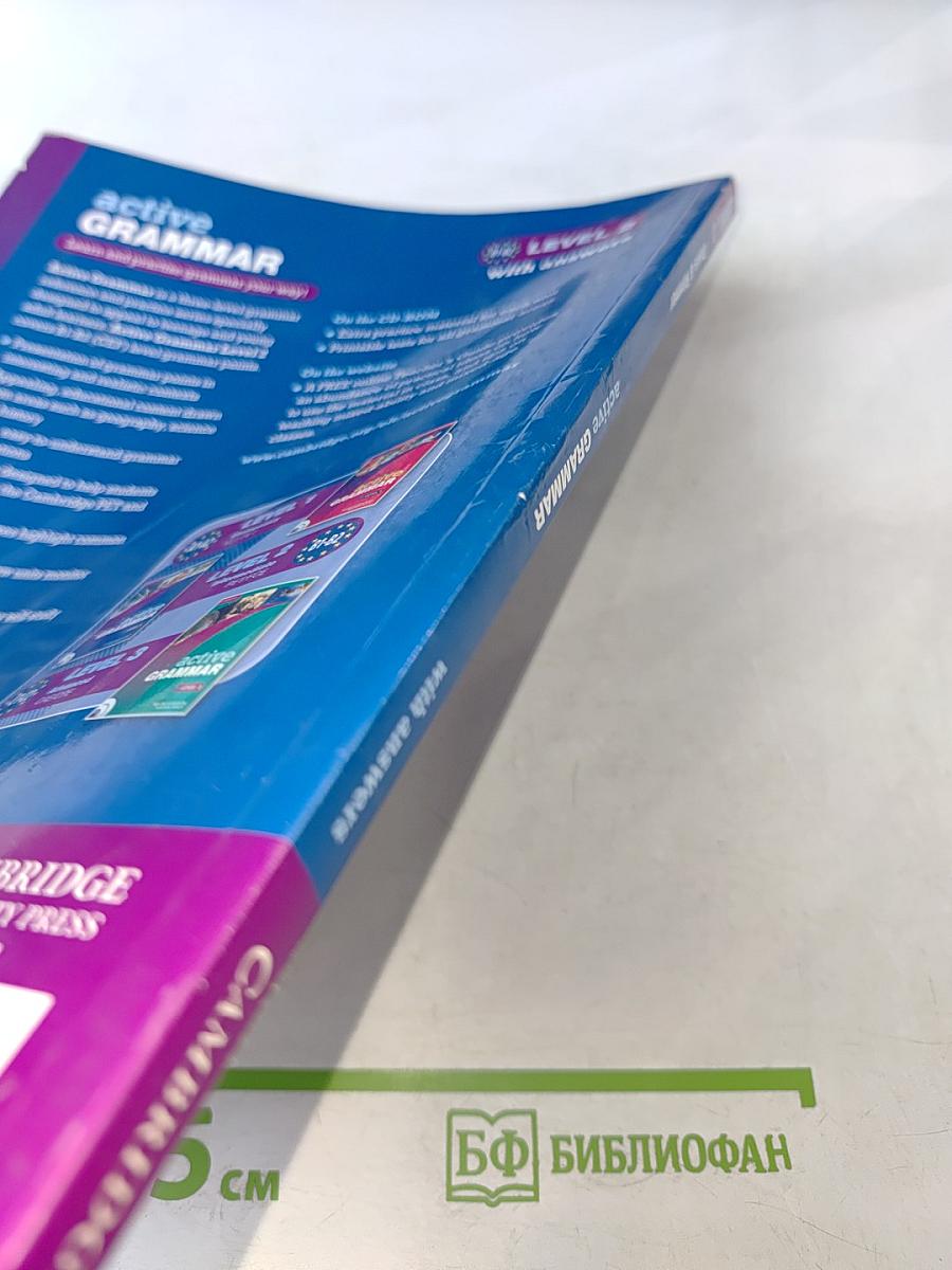 Active Grammar with answers Level 2