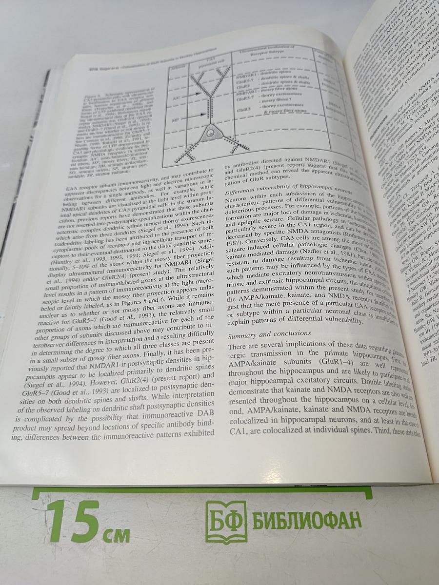 The Journal of Neuroscience. April 1995. Volume 15 Number 4