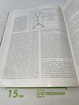 The Journal of Neuroscience. April 1995. Volume 15 Number 4