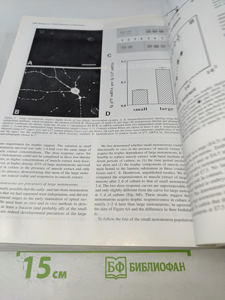 The Journal of Neuroscience. April 1995. Volume 15 Number 4