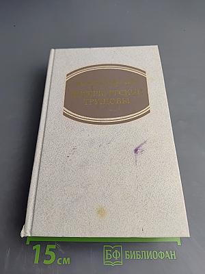 Петербургские трущобы. Книга вторая