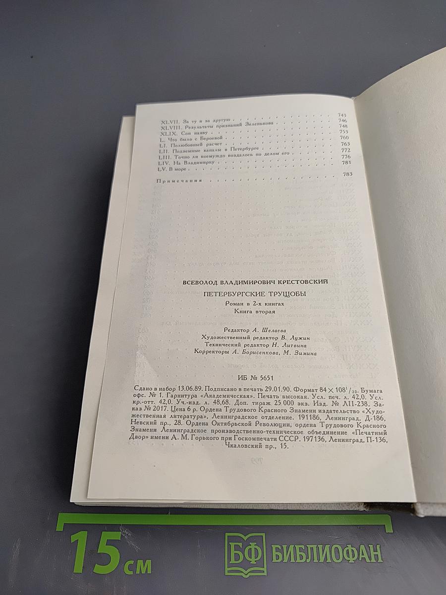 Петербургские трущобы. Книга вторая