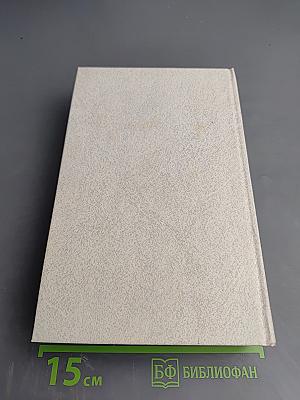 Петербургские трущобы. Книга вторая