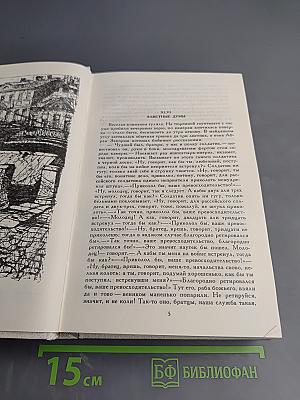 Петербургские трущобы. Книга вторая