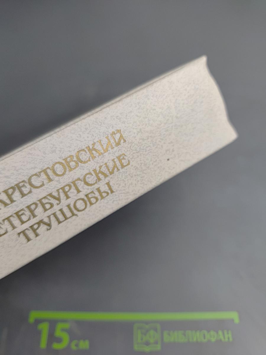 Петербургские трущобы. Книга вторая