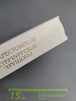 Петербургские трущобы. Книга вторая