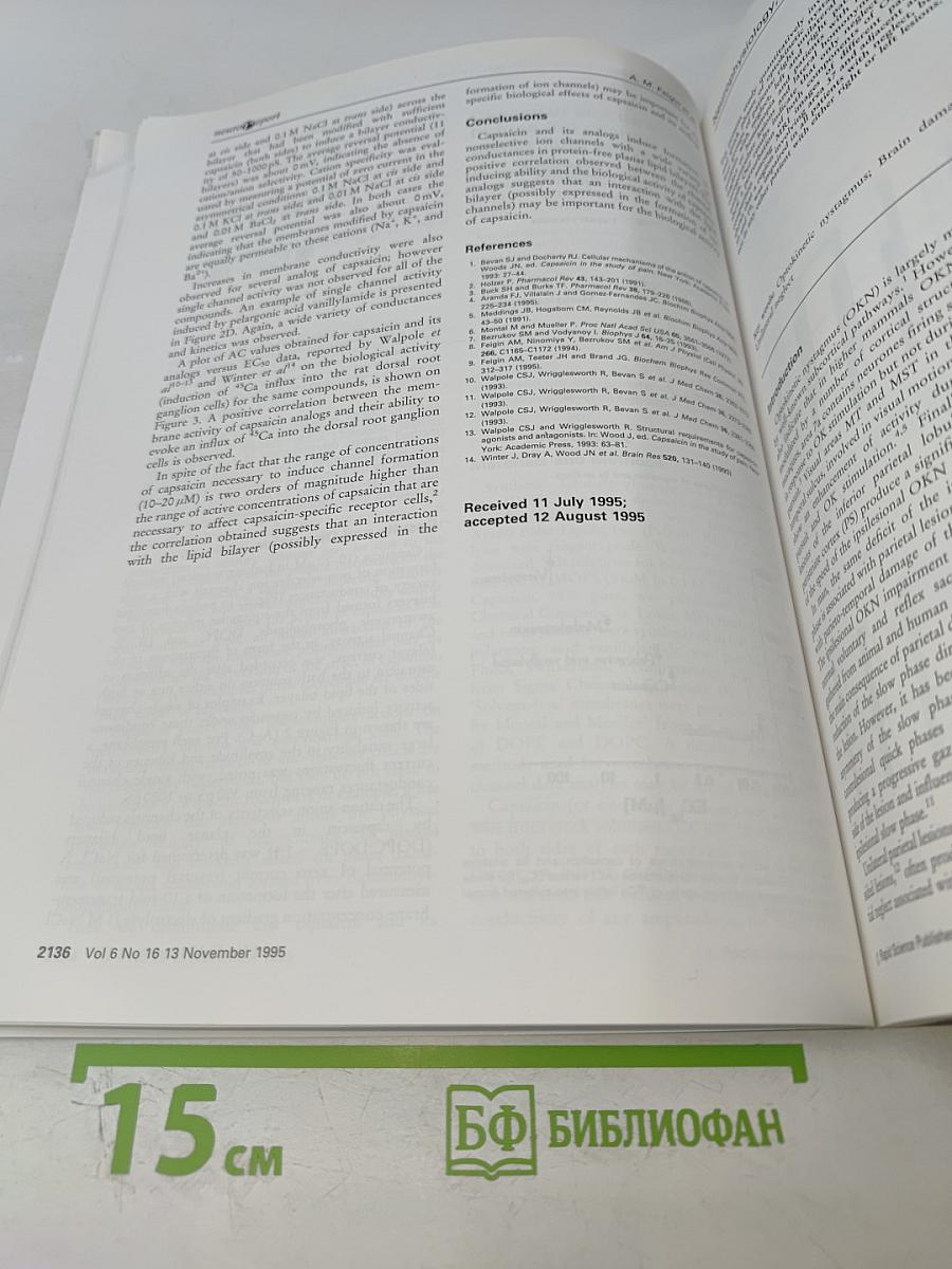 neuroReport Volume 6 Number 16