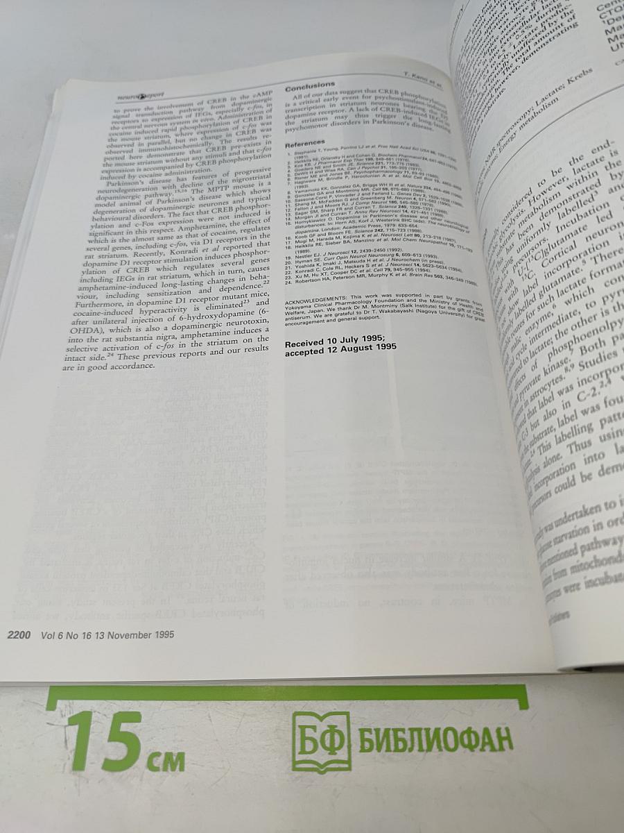 neuroReport Volume 6 Number 16