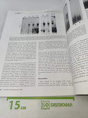 neuroReport Volume 6 Number 16