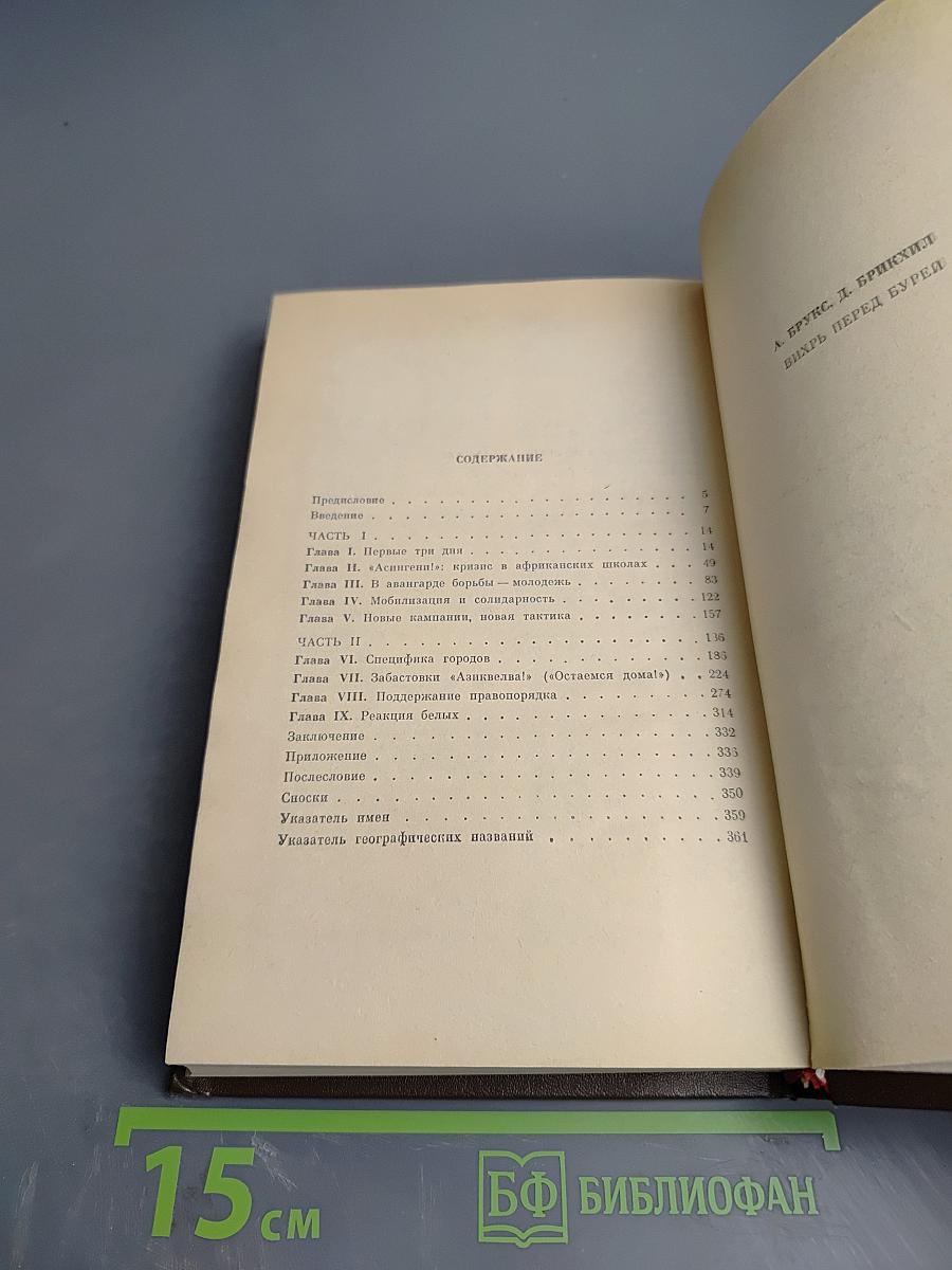 Вихрь перед бурей