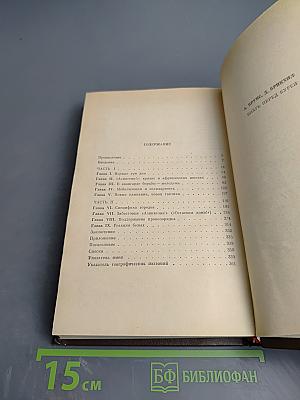 Вихрь перед бурей