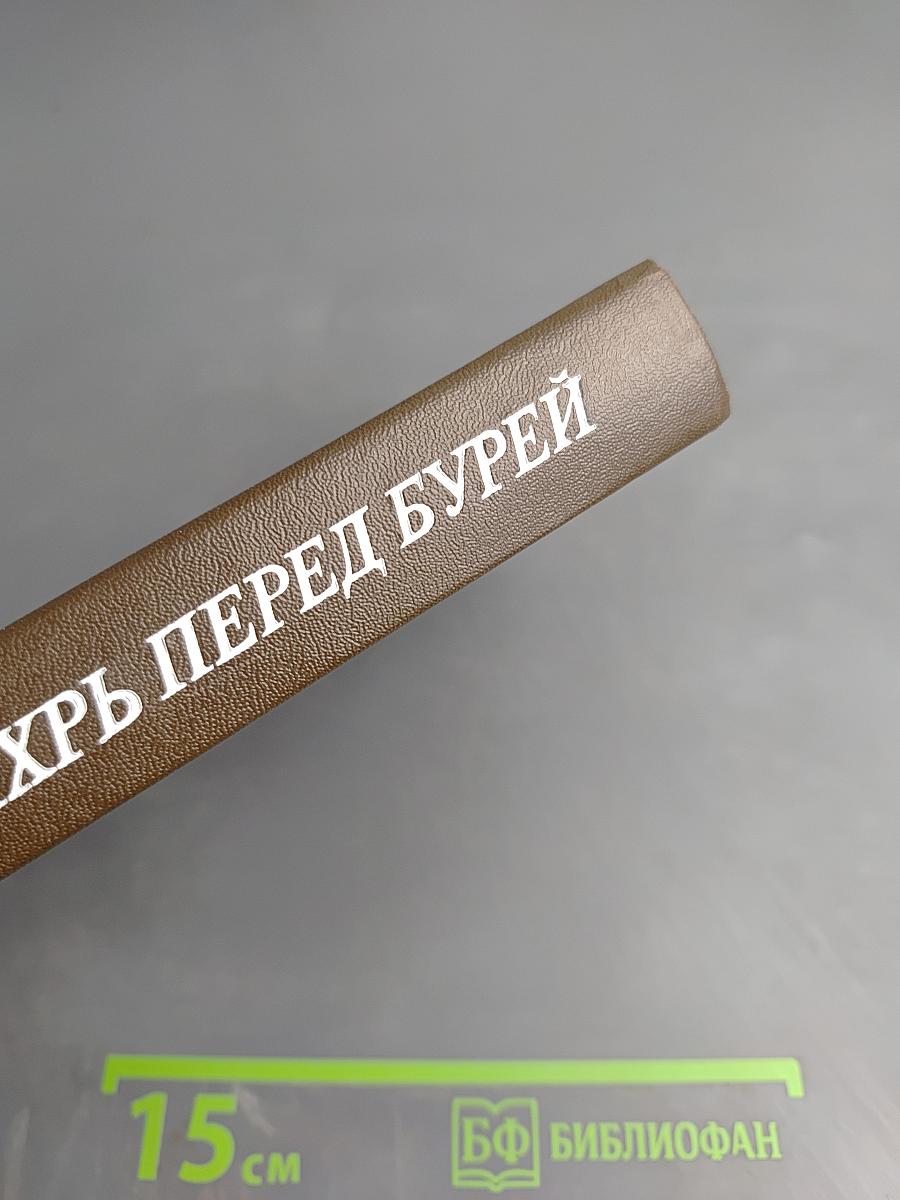 Вихрь перед бурей