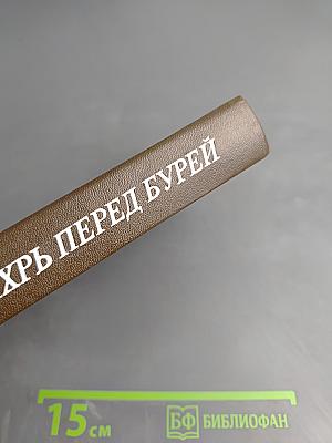 Вихрь перед бурей