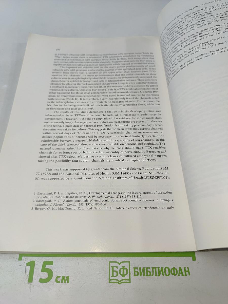 Brain Research. Vol. 185 No. 1