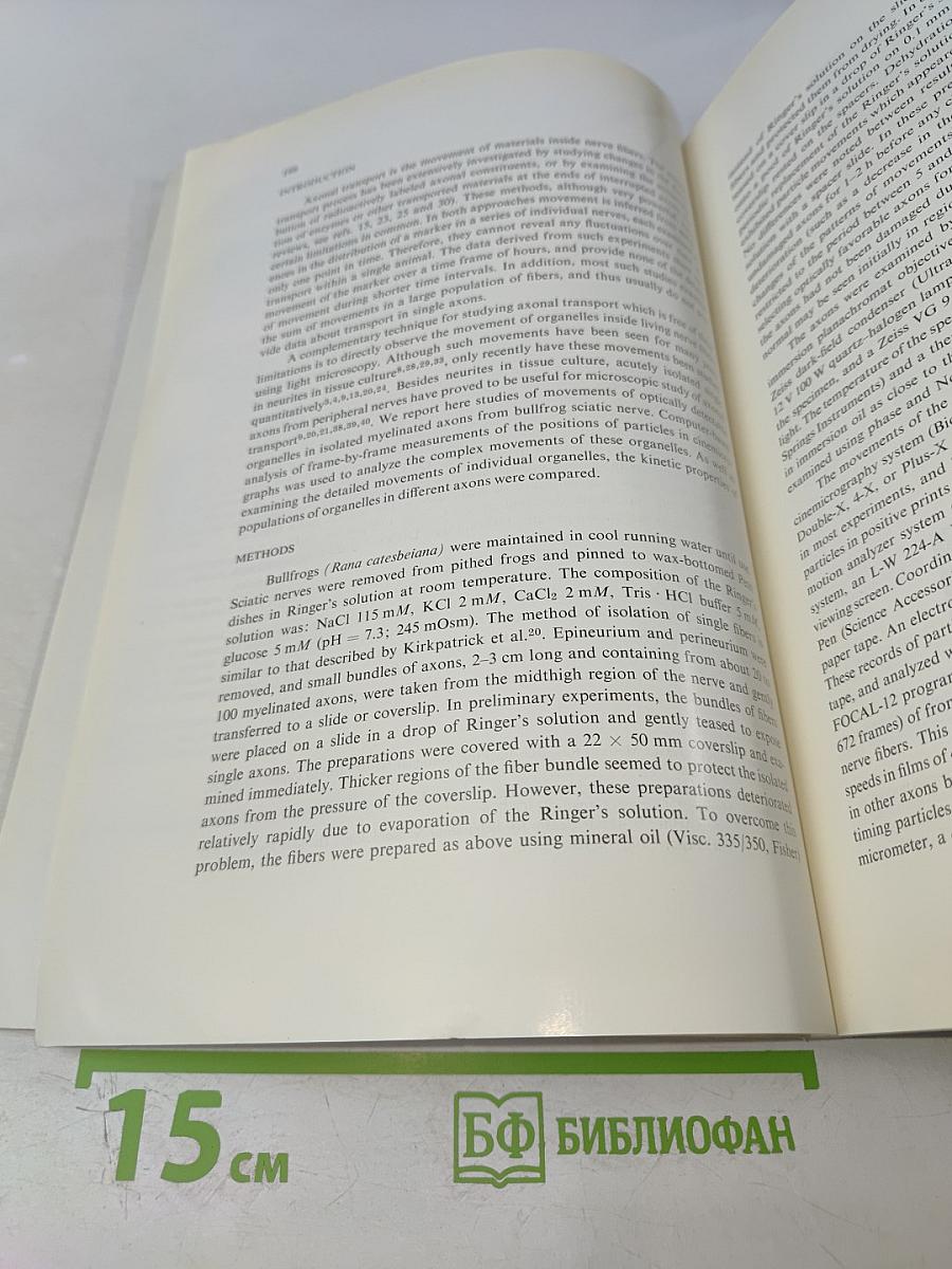 Brain Research, Vol. 136, No. 2