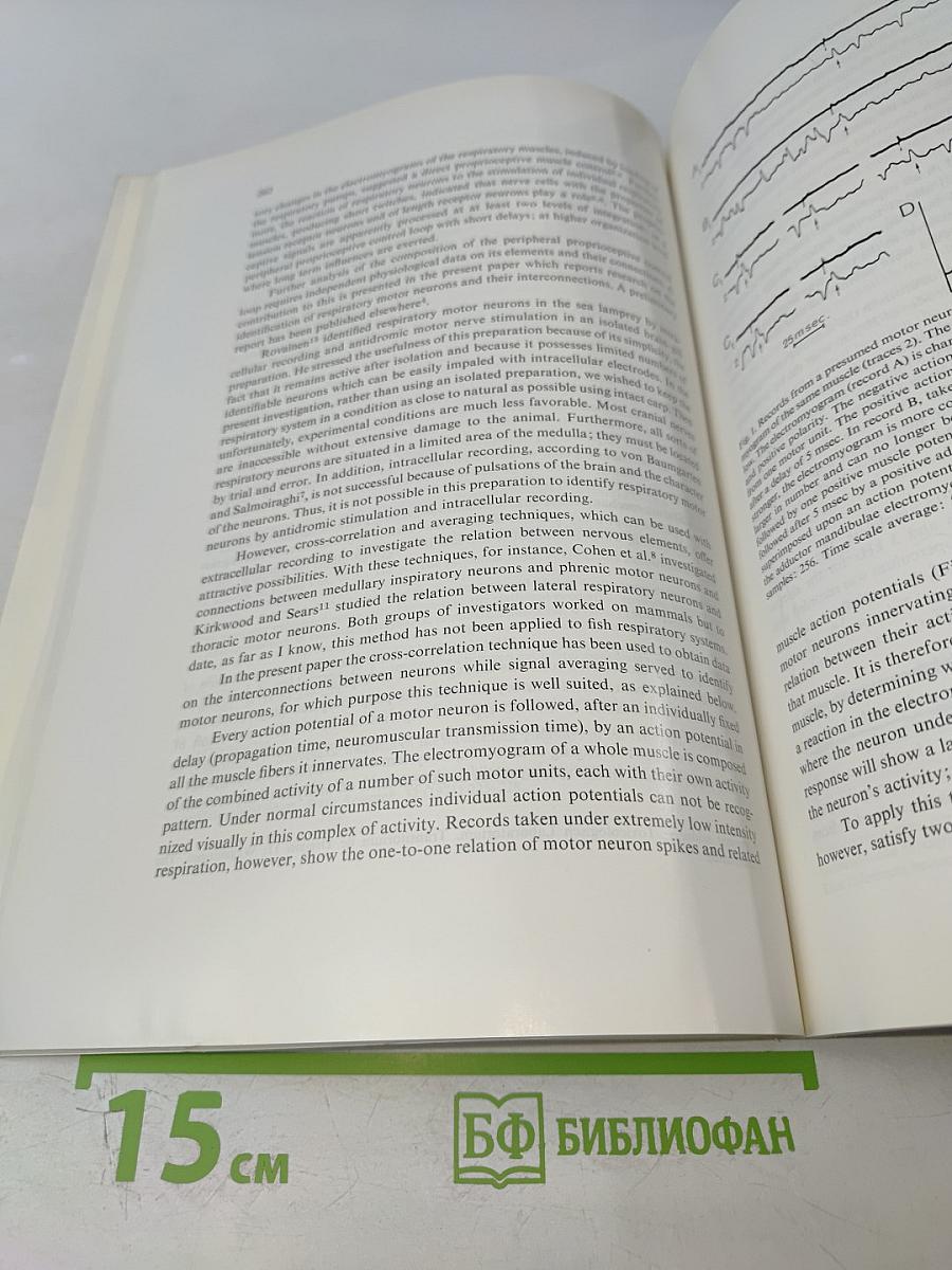 Brain Research, Vol. 136, No. 2