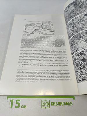 Brain Research, Vol. 136, No. 2