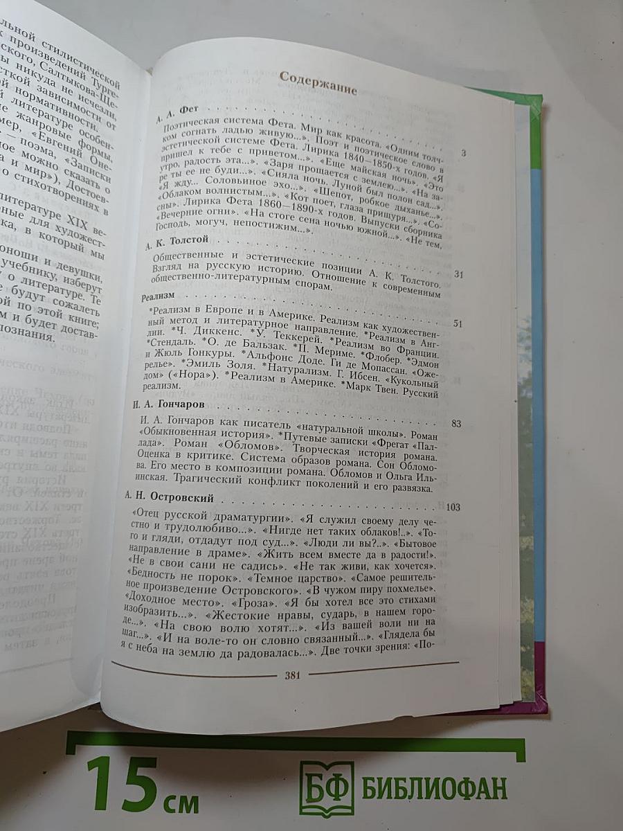 Литература. 10 класс. Часть 2