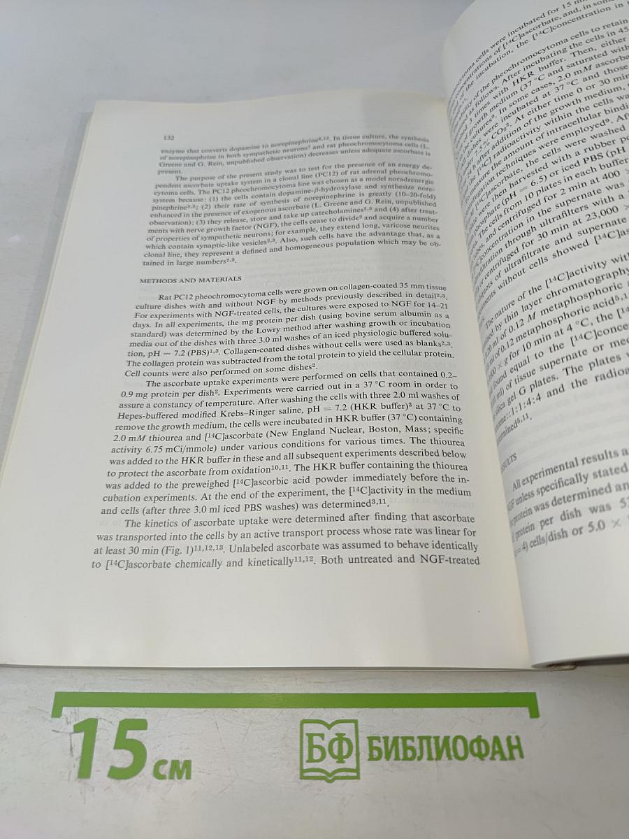 Brain Research, Vol. 136 No. 1