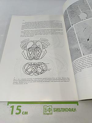 Brain Research. International Multidisciplinary Journal Devoted to Fundamental Research in the Brain Sciences. Vol. 186 No. 1