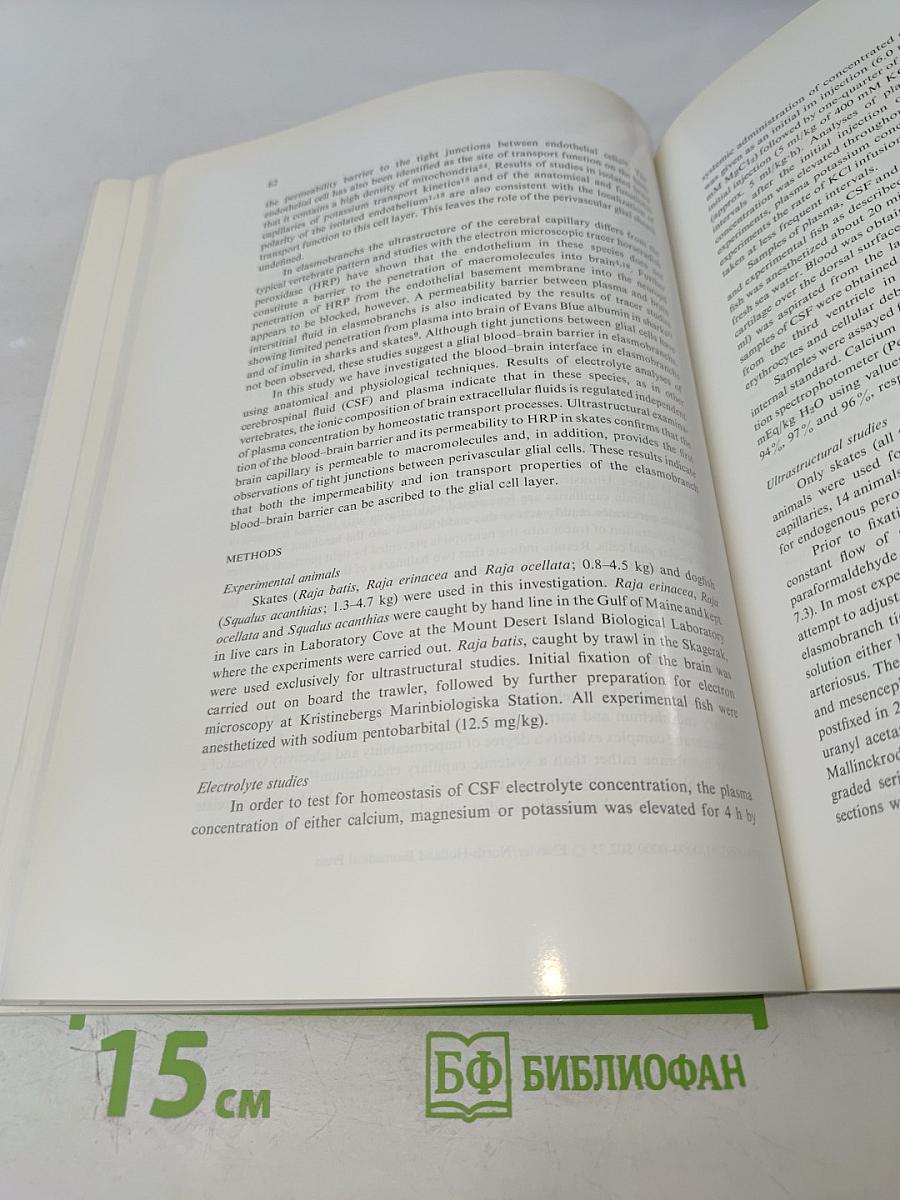 Brain Research: International Multidisciplinary Journal Devoted to Fundamental Research in the Brain Sciences, Vol. 226 No. 1-2