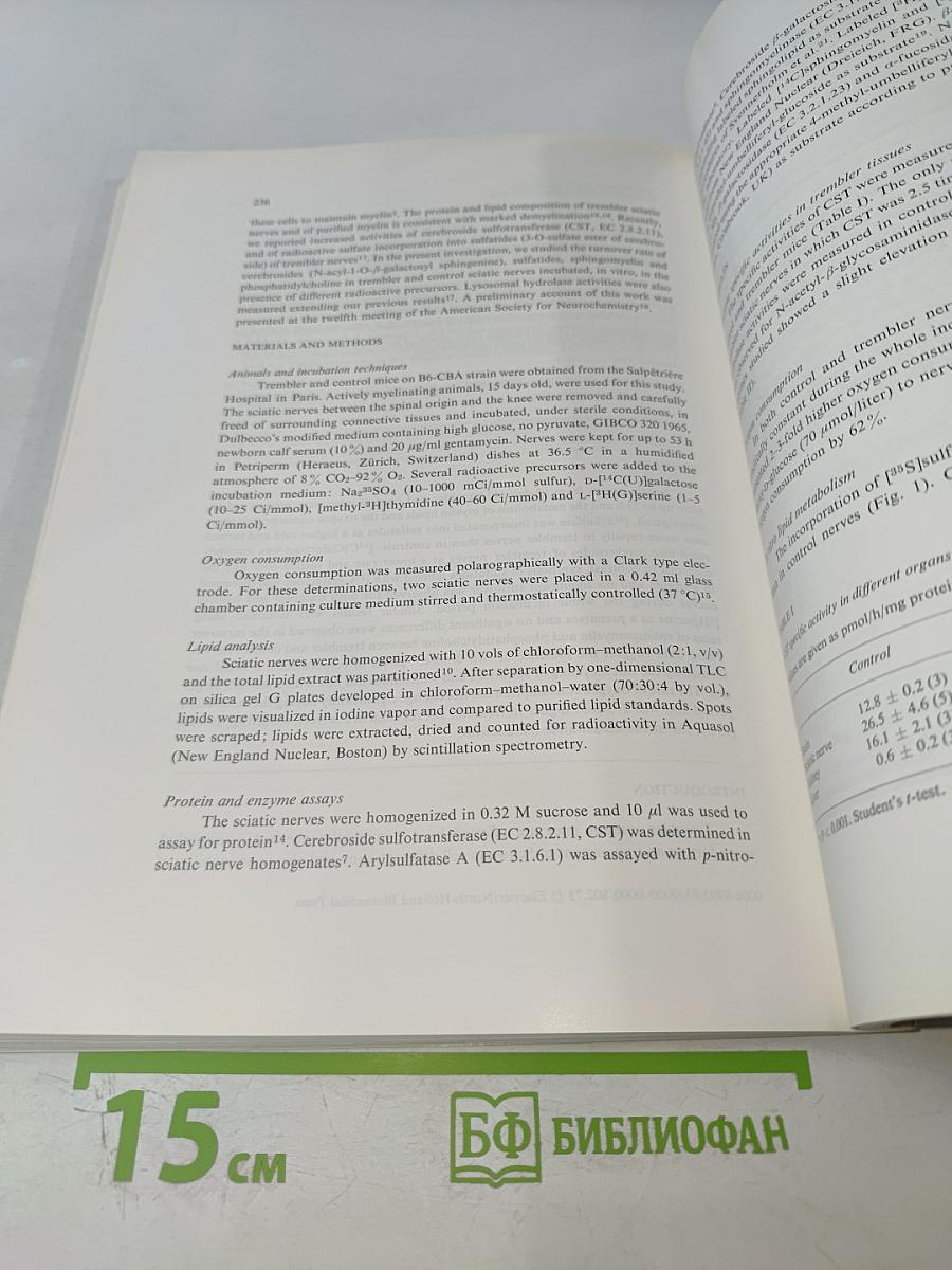Brain Research: International Multidisciplinary Journal Devoted to Fundamental Research in the Brain Sciences, Vol. 226 No. 1-2