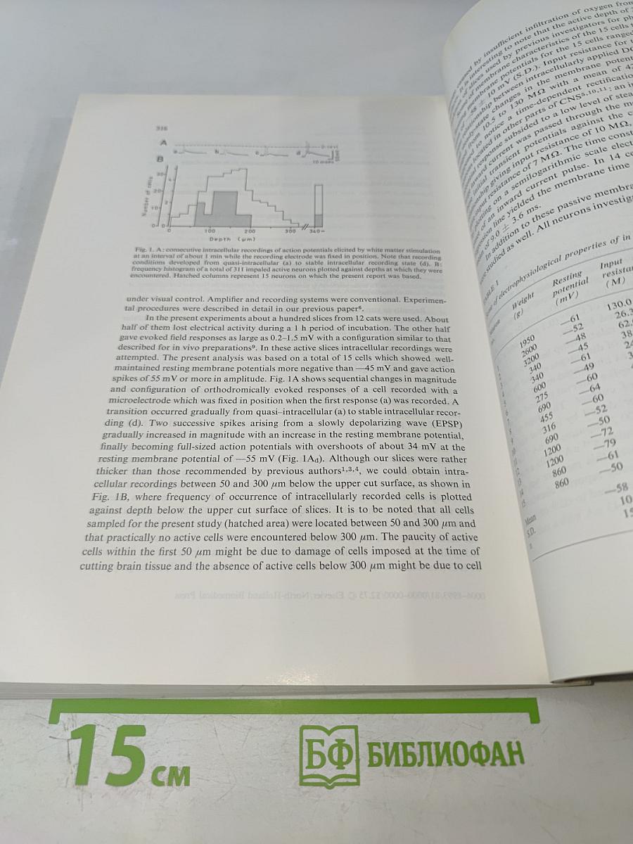 Brain Research: International Multidisciplinary Journal Devoted to Fundamental Research in the Brain Sciences, Vol. 226 No. 1-2